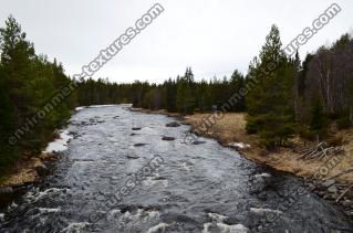 Photo Texture of Background Forest 0002